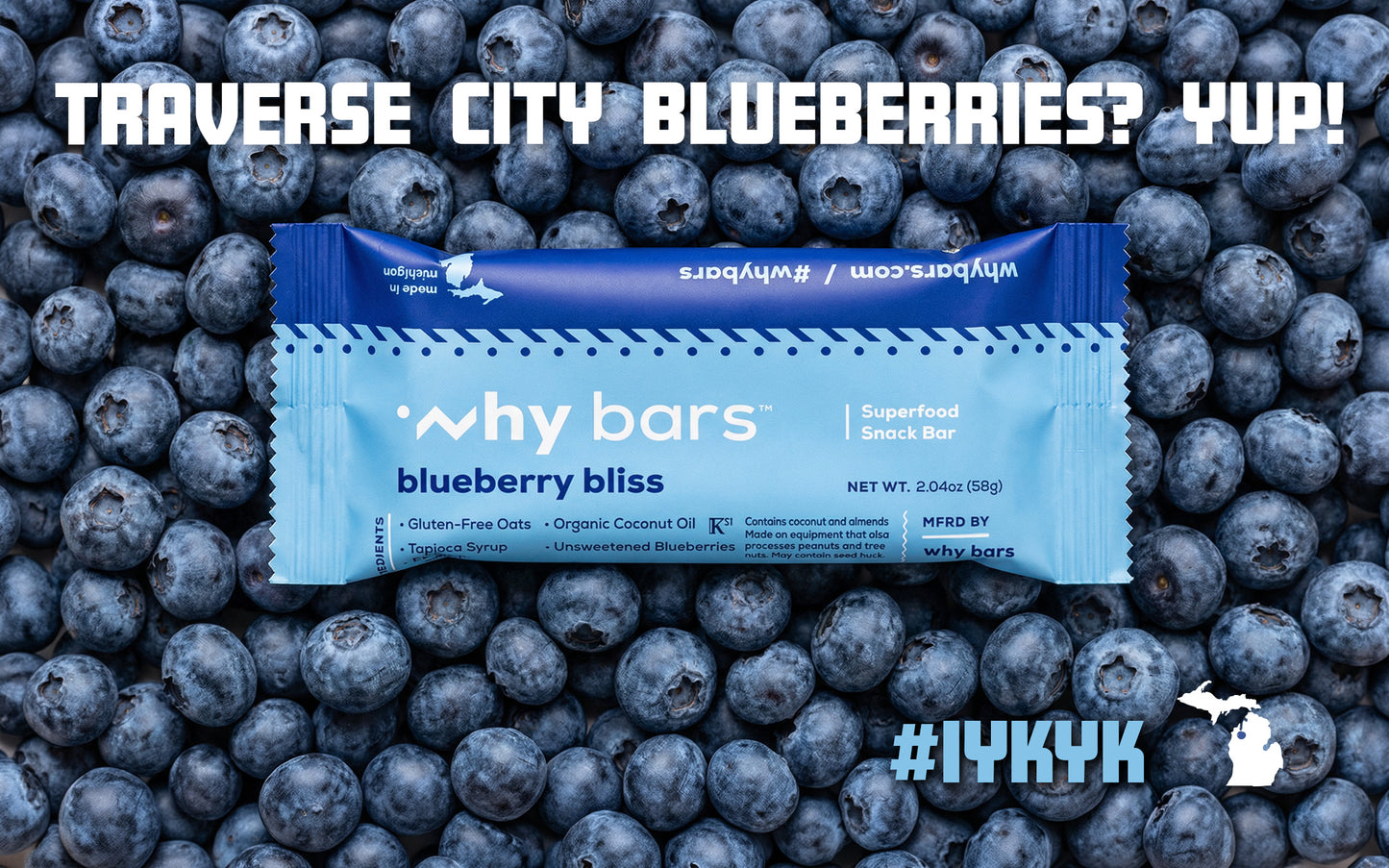 Blueberry Bliss 12 Pack